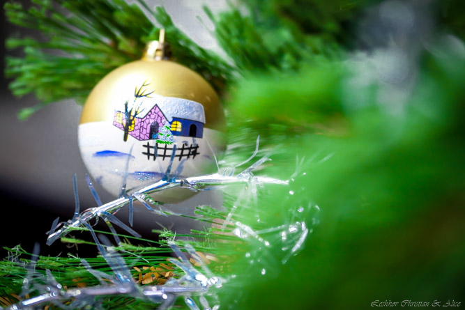 Фотоотчет о встрече Группы Света 28 декабря 2013 года